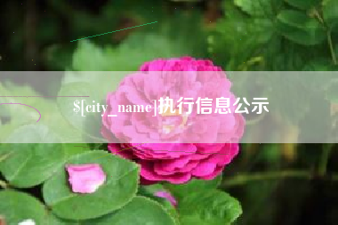 安陆执行信息公示