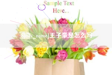 安陆王子豪是怎么写