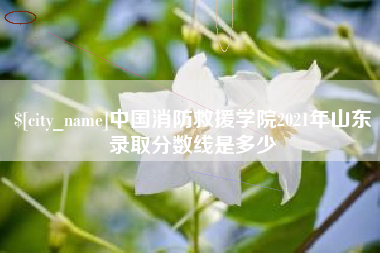 安陆中国消防救援学院2021年山东录取分数线是多少