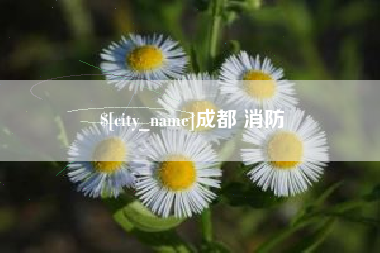 安陆成都 消防