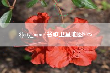 安陆谷歌卫星地图2025
