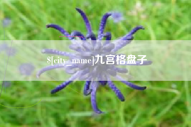 安陆九宫格盘子