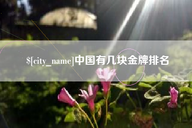 安陆中国有几块金牌排名