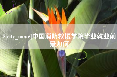 安陆中国消防救援学院毕业就业前景如何