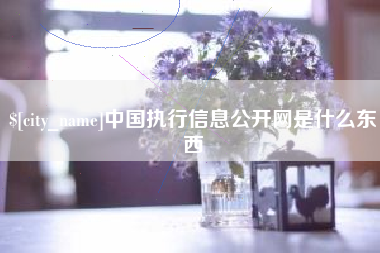 安陆中国执行信息公开网是什么东西