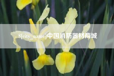 安陆中国消防器材商城