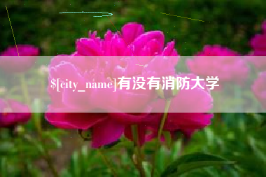 安陆有没有消防大学