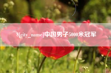 安陆中国男子5000米冠军