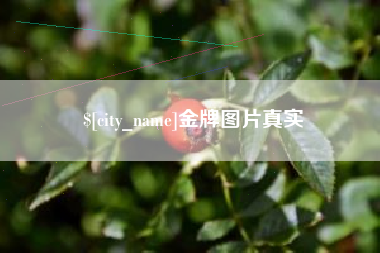 安陆金牌图片真实