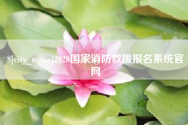 安陆2020国家消防救援报名系统官网