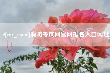 安陆消防考试网官网报名入口网址