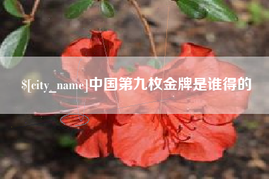 安陆中国第九枚金牌是谁得的