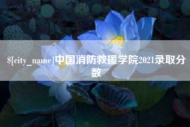 安陆中国消防救援学院2021录取分数