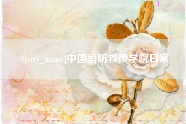 安陆中国消防救援学院日常