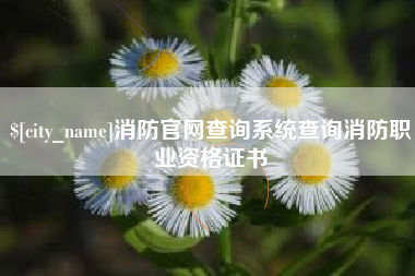 安陆消防官网查询系统查询消防职业资格证书