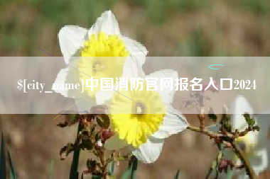 安陆中国消防官网报名入口2024