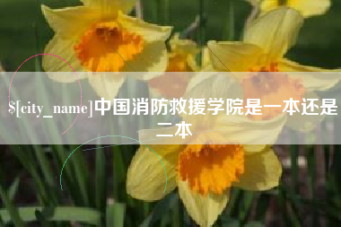 安陆中国消防救援学院是一本还是二本