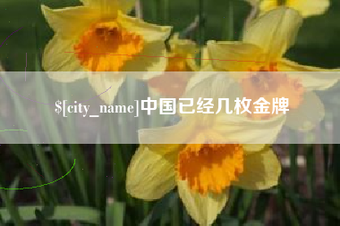安陆中国已经几枚金牌
