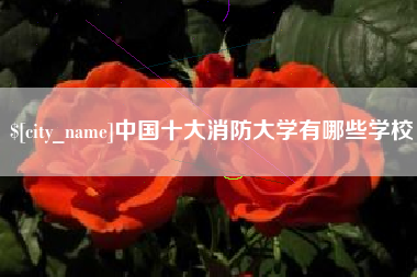 安陆中国十大消防大学有哪些学校