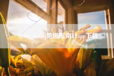 安陆地图指南针app下载