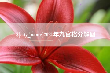 安陆2021年九宫格分解图