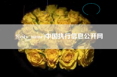 安陆中国执行信息公开网
