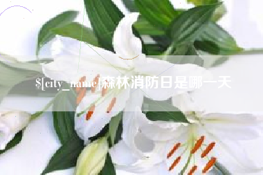 安陆森林消防日是哪一天