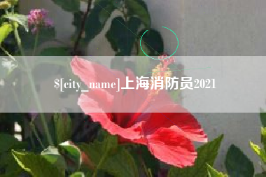 安陆上海消防员2021