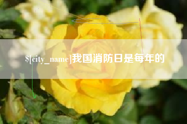 安陆我国消防日是每年的