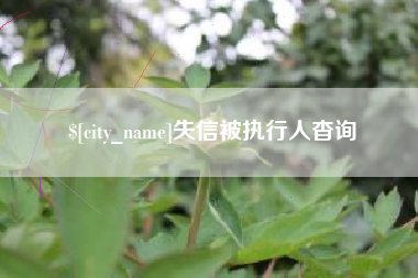 安陆失信被执行人杳询