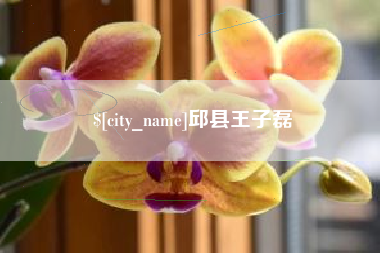 安陆邱县王子磊