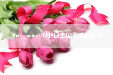 安陆11月9日全国消防日图片