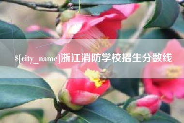 安陆浙江消防学校招生分数线