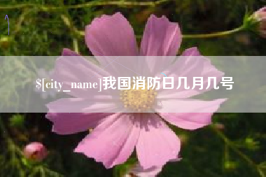 安陆我国消防日几月几号