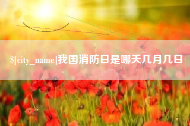 安陆我国消防日是哪天几月几日