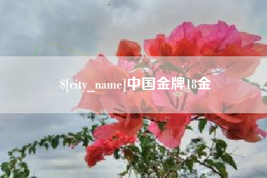 安陆中国金牌18金