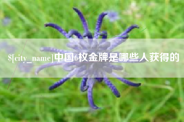 安陆中国6枚金牌是哪些人获得的