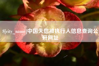 安陆中国失信被执行人信息查询公开网址
