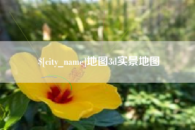 安陆地图3d实景地图