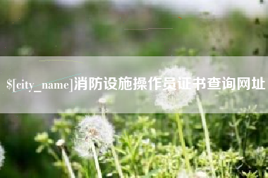 安陆消防设施操作员证书查询网址