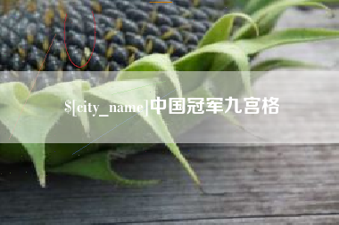 安陆中国冠军九宫格