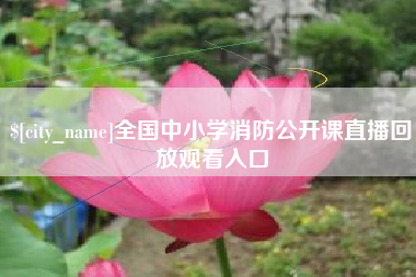 安陆全国中小学消防公开课直播回放观看入口