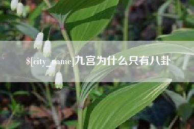 安陆九宫为什么只有八卦