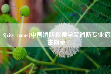 安陆中国消防救援学院消防专业招生简章