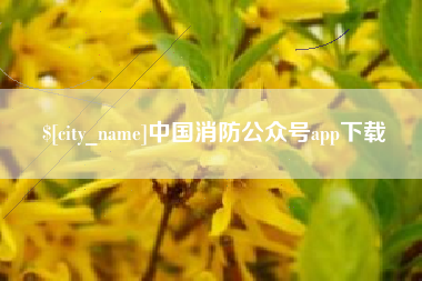 安陆中国消防公众号app下载