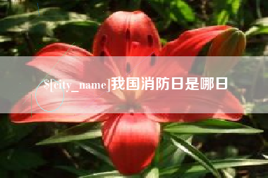 安陆我国消防日是哪日
