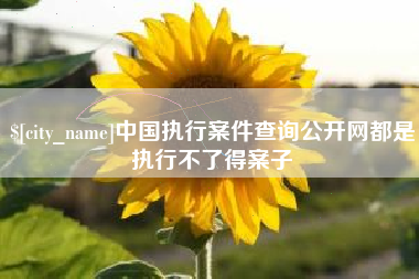安陆中国执行案件查询公开网都是执行不了得案子