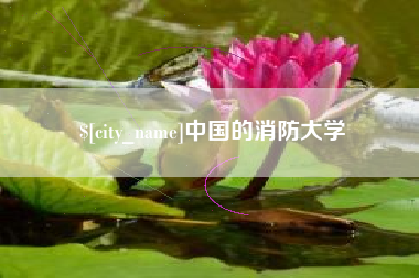 安陆中国的消防大学