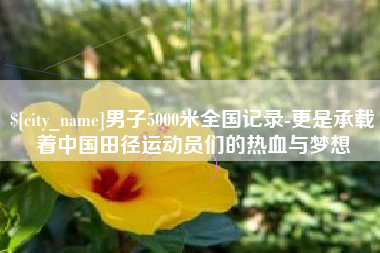 安陆男子5000米全国记录-更是承载着中国田径运动员们的热血与梦想