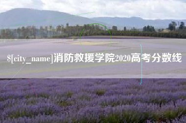 安陆消防救援学院2020高考分数线